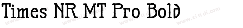 Times NR MT Pro Bold字体转换